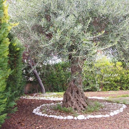 Sa Marina Villa Port de Alcudia  Dış mekan fotoğraf
